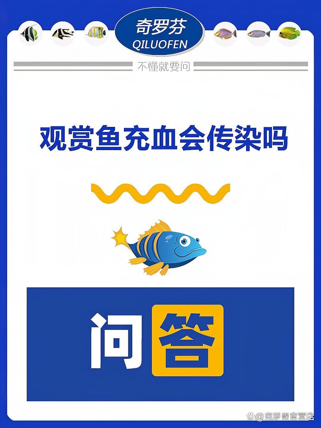 三湖慈鯛魚鰭根部充血