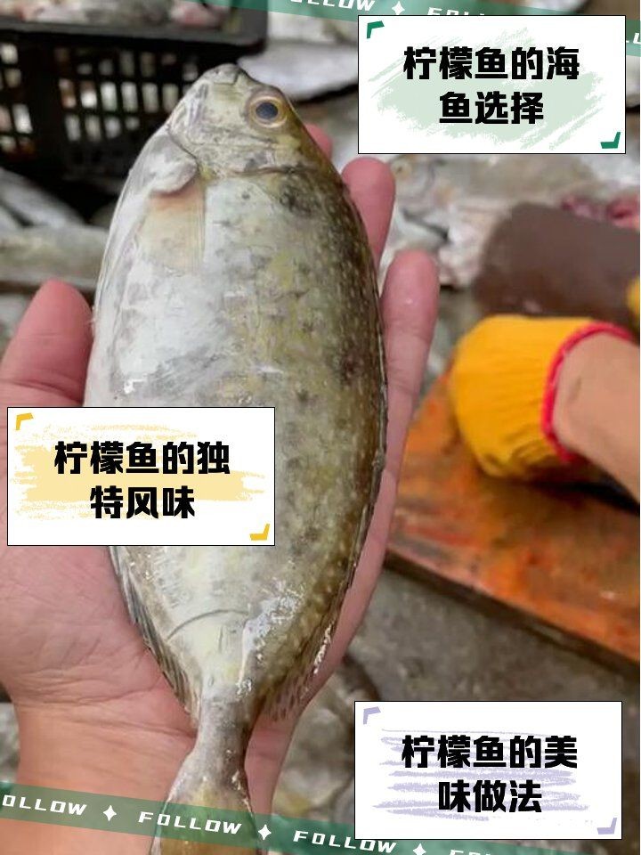 廣東檸檬魚最簡單做法
