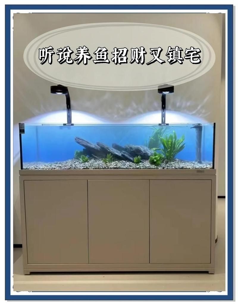 家養鯰魚是聚財還是破財