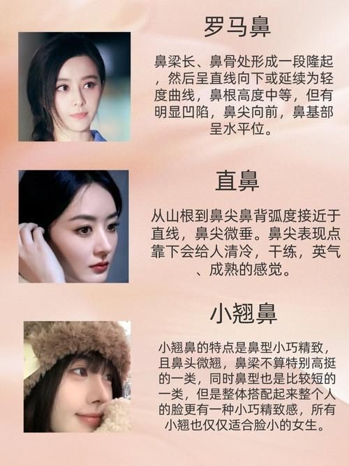 各種各樣的鼻子圖片