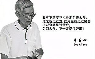 過背龍魚是雜魚還是鲅魚
