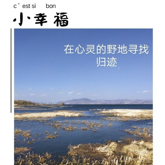 金昌最后被誰殺的