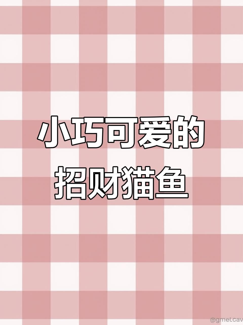 金絲貓魚和招財貓魚的區別