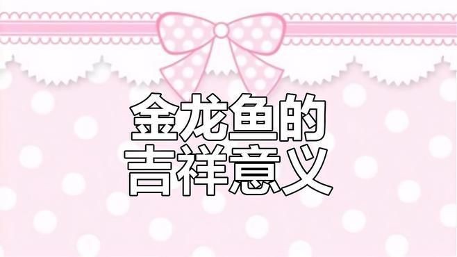 海魚金龍魚是哪種：“海魚金龍魚”存在常見認知誤區金龍魚是什么魚 海魚金龍魚是哪種：“海魚金龍魚”存在常見認知誤區金龍魚是什么魚 龍魚論壇 第3張