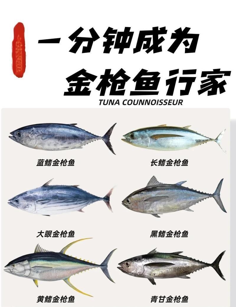 金槍魚屬于什么檔次：三文魚和金槍魚到底誰更貴