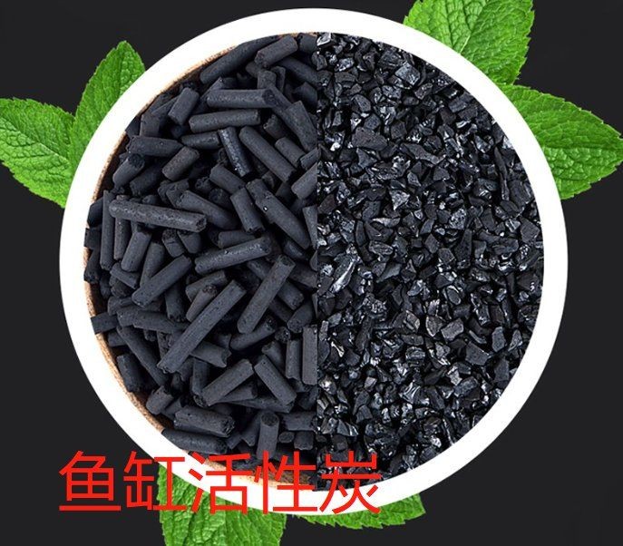 活性炭魚缸濾材料：活性炭在魚缸中的應用