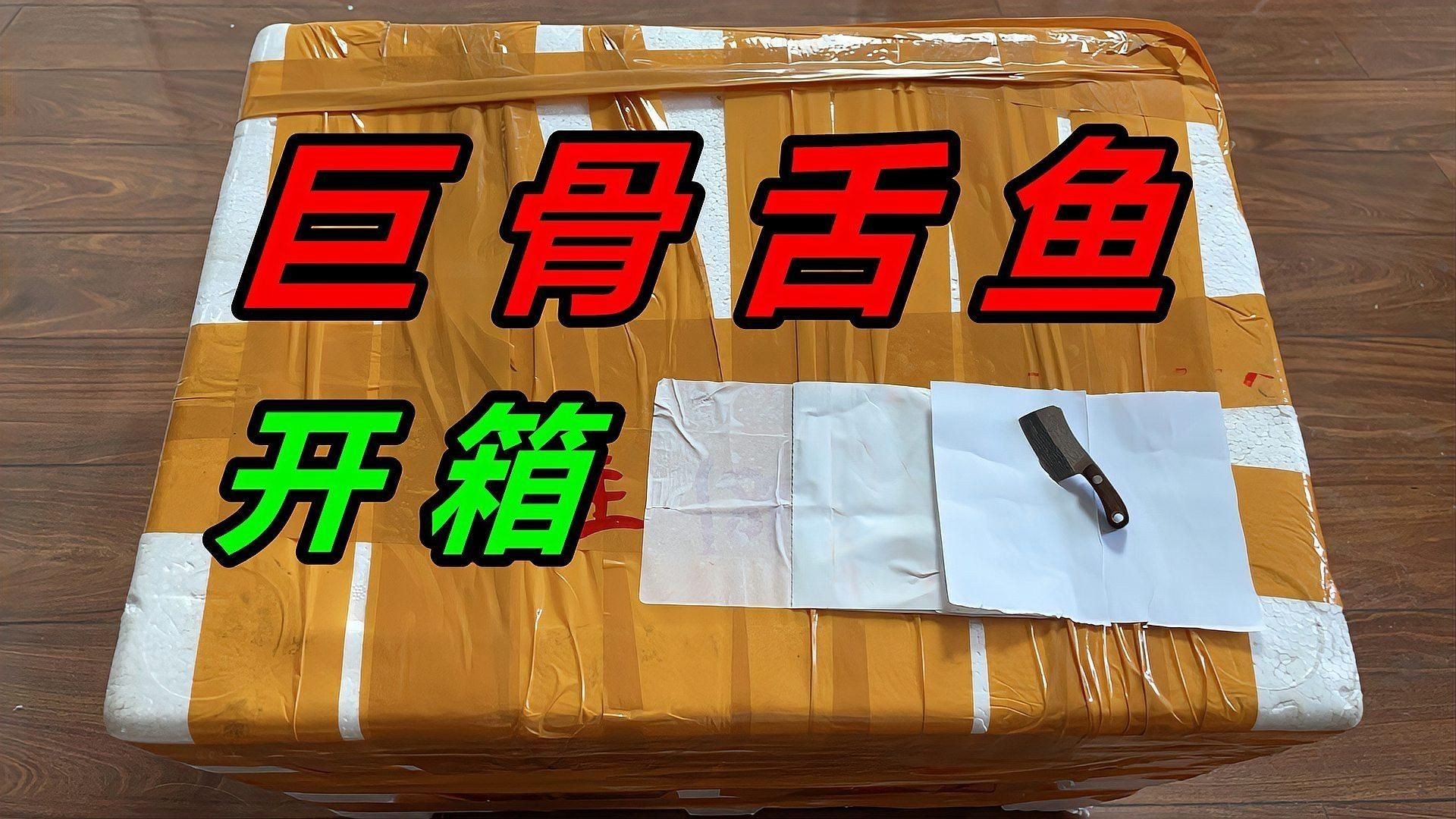 巨骨舌魚開箱視頻：“巨骨舌魚開箱”實(shí)況記錄