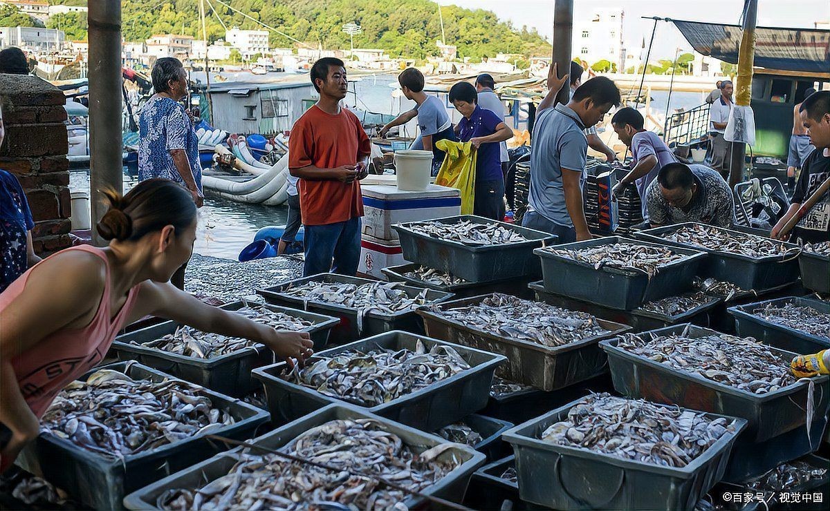 海鮮進貨渠道一覽表：海鮮進貨渠道全面解析
