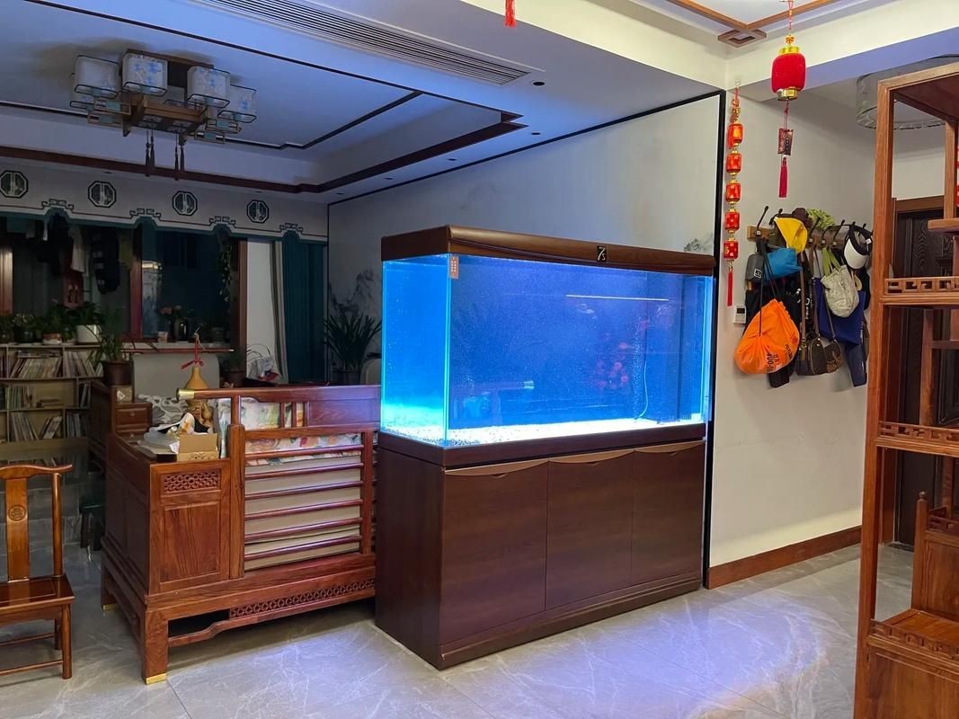 客廳魚缸擺放位置圖：客廳魚缸擺放位置圖解析