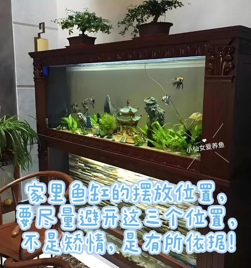 客廳魚缸擺放位置圖：客廳魚缸擺放位置圖解析