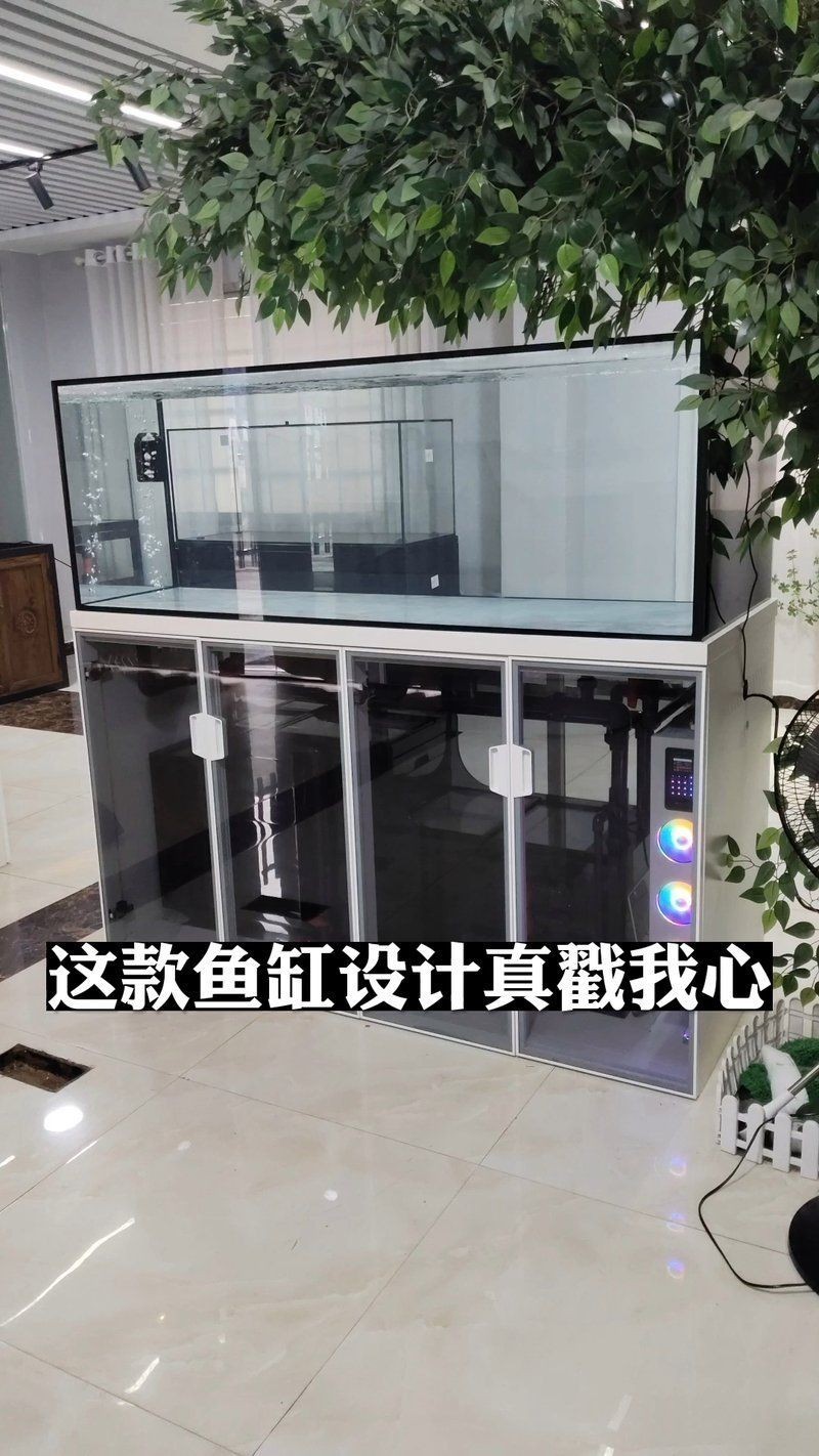 吉羅缸和龍魚缸的區別：吉羅缸與普通的缸的區別