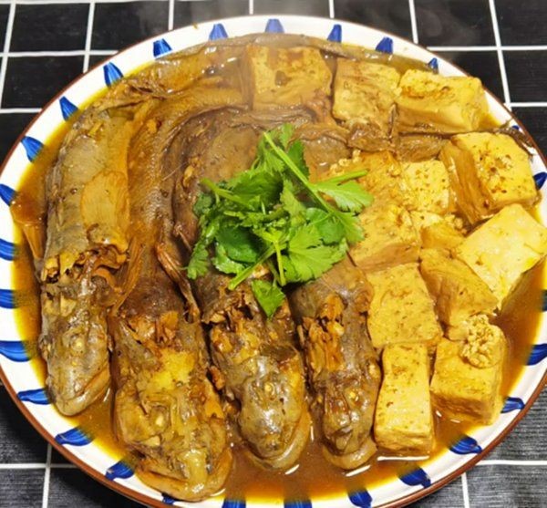 海鯰魚為何不能養：養殖海鯰魚的注意事項