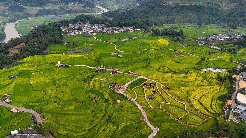 保山魚缸批發市場：保山魚缸批發市場分析