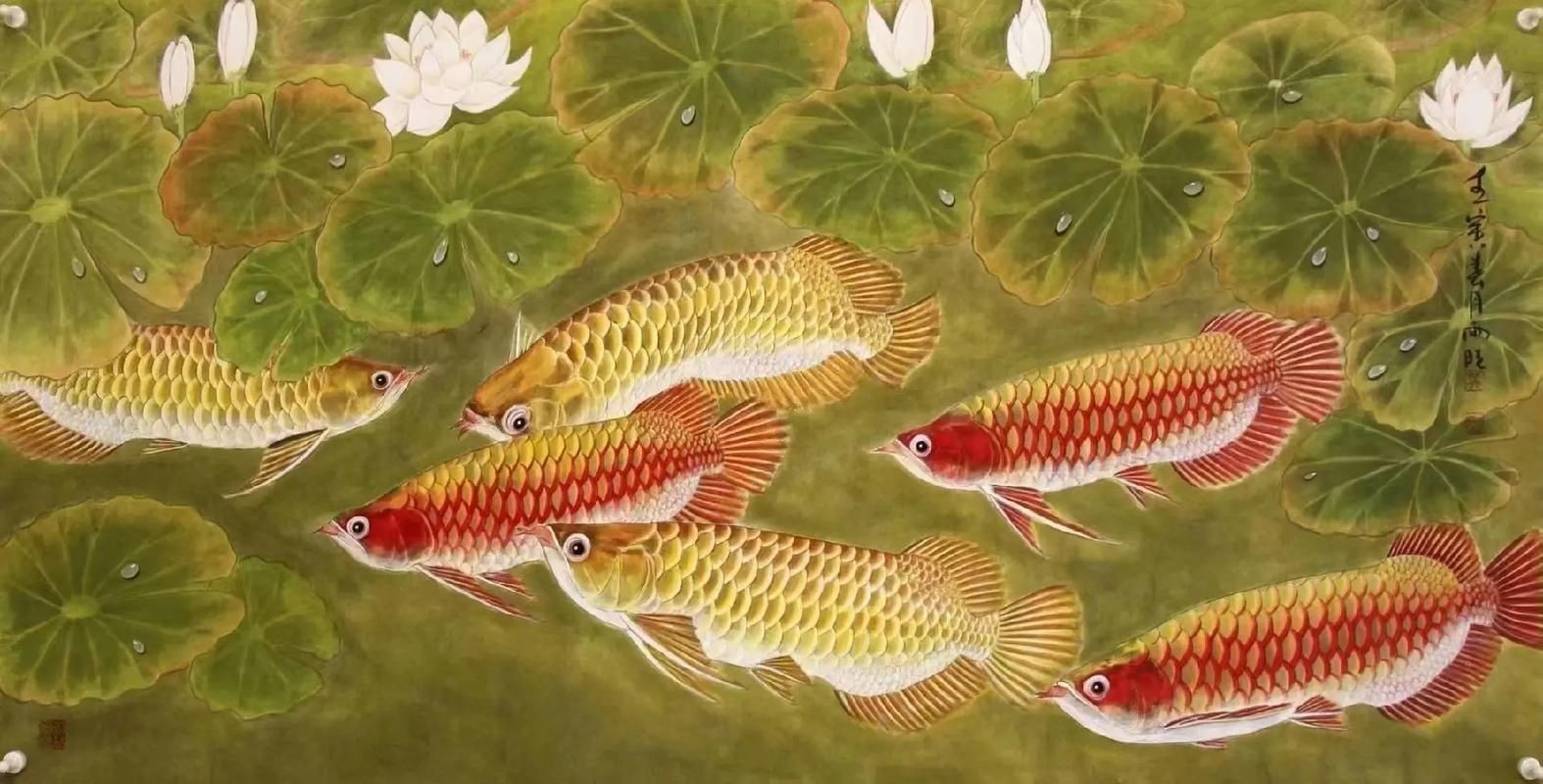 國畫金龍魚圖片大全：《國畫金龍魚圖片大全》