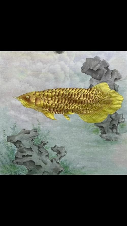 國畫金龍魚圖片大全：《國畫金龍魚圖片大全》
