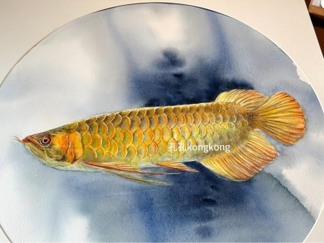 國畫金龍魚圖片大全：《國畫金龍魚圖片大全》