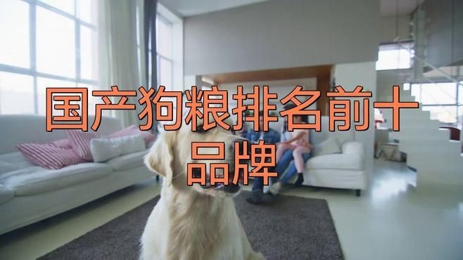 國產十大放心狗糧：2025年國產十大放心狗糧品牌