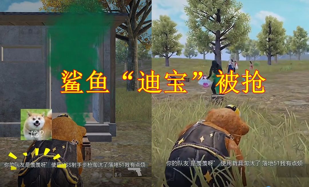 和平精英鯊魚的老婆：《和平精英》“鯊魚的老婆”話題兼具娛樂性與真實性