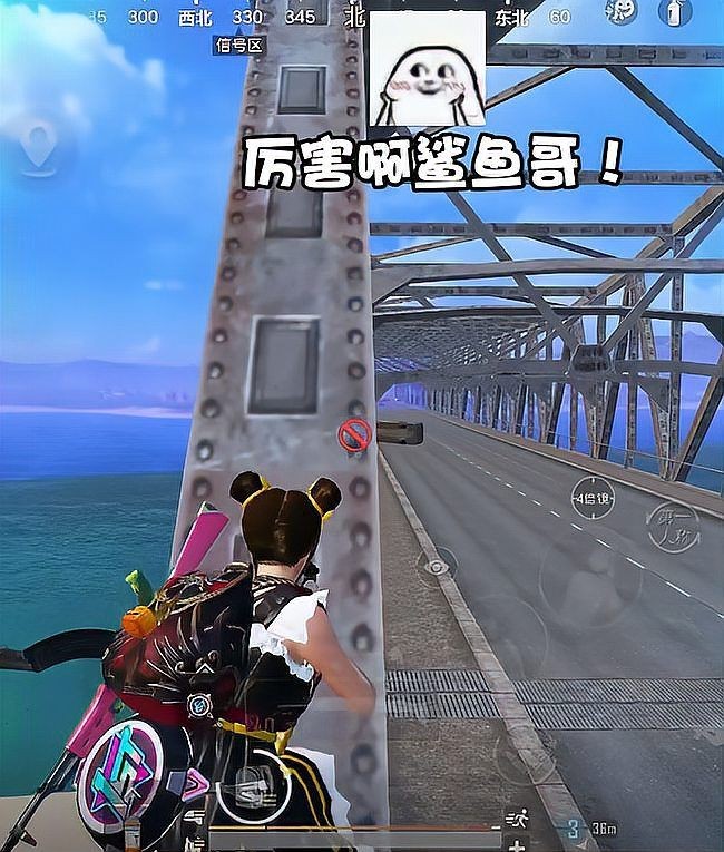 和平精英鯊魚的老婆：《和平精英》“鯊魚的老婆”話題兼具娛樂性與真實性