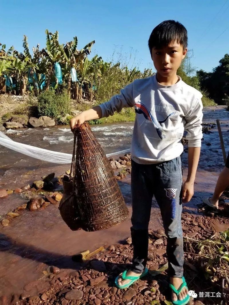 河里貼著石頭的魚叫什么：石爬[需手動填充]石爬子、青石爬子、黃石爬子、黃石爬子、火箭魚 河里貼著石頭的魚叫什么：石爬[需手動填充]石爬子、青石爬子、黃石爬子、黃石爬子、火箭魚 龍魚論壇 第11張