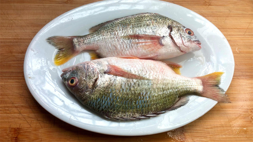 廣東叫立魚是什么魚：中國黃立魚之鄉——珠海金灣區