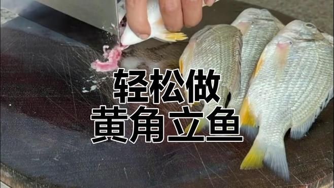 廣東叫立魚是什么魚：中國黃立魚之鄉——珠海金灣區