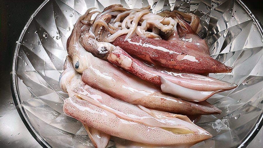火箭蛸是什么魚：火箭蛸與火箭蛸有什么區別？