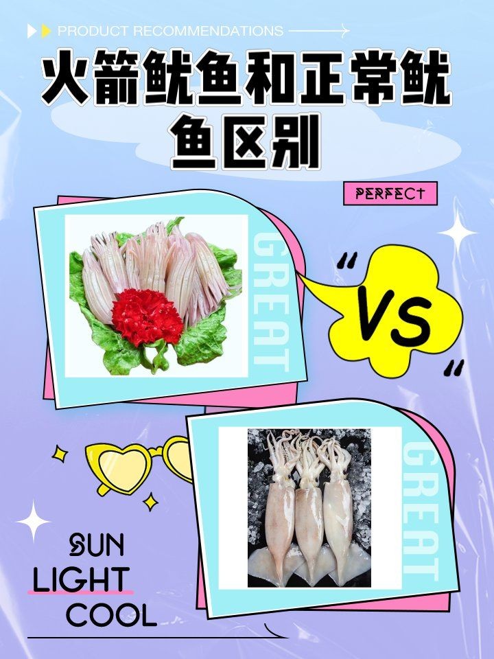 火箭蛸是什么魚：火箭蛸與火箭蛸有什么區別？