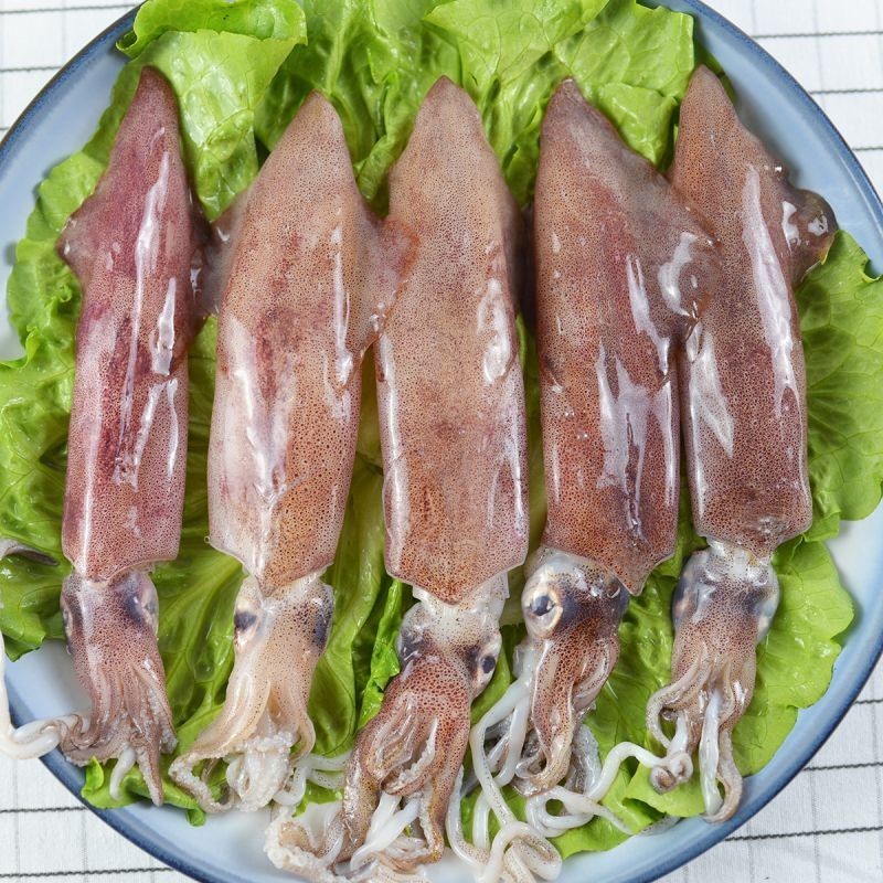 火箭蛸是什么魚：火箭蛸與火箭蛸有什么區別？