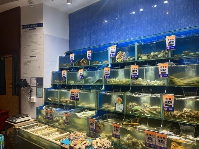 宿州龍魚店：安徽首家龍魚主題日料店宿州龍魚主題日料店 宿州龍魚店：安徽首家龍魚主題日料店宿州龍魚主題日料店 全國水族館企業(yè)名錄 第6張