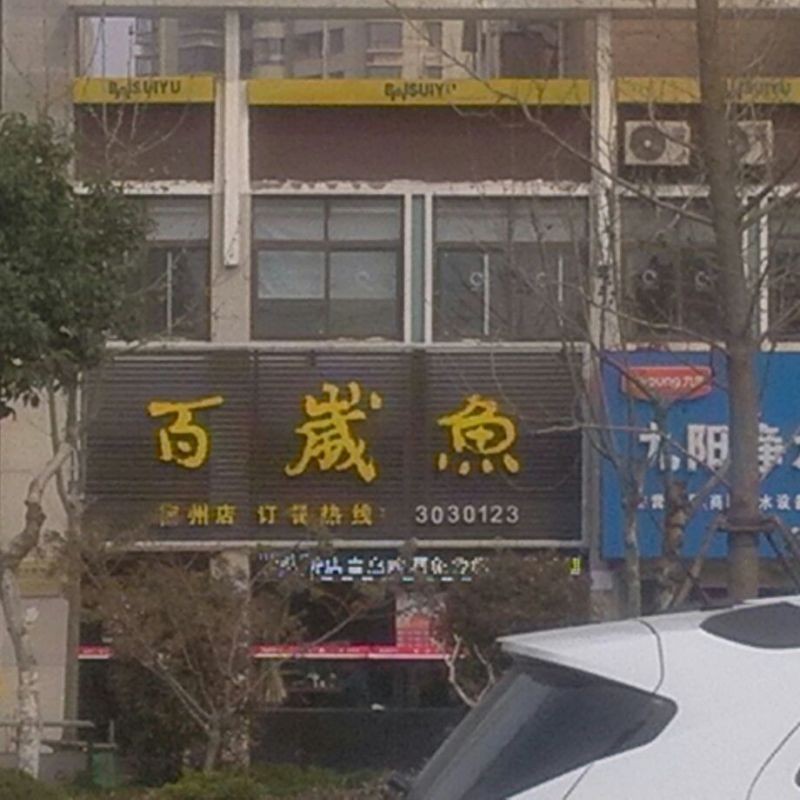 宿州龍魚店：安徽首家龍魚主題日料店宿州龍魚主題日料店 宿州龍魚店：安徽首家龍魚主題日料店宿州龍魚主題日料店 全國水族館企業(yè)名錄 第4張