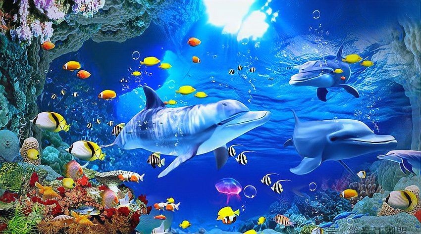 海底世界的科普小知識：地球上最神秘且充滿生機的領域之一:海底世界