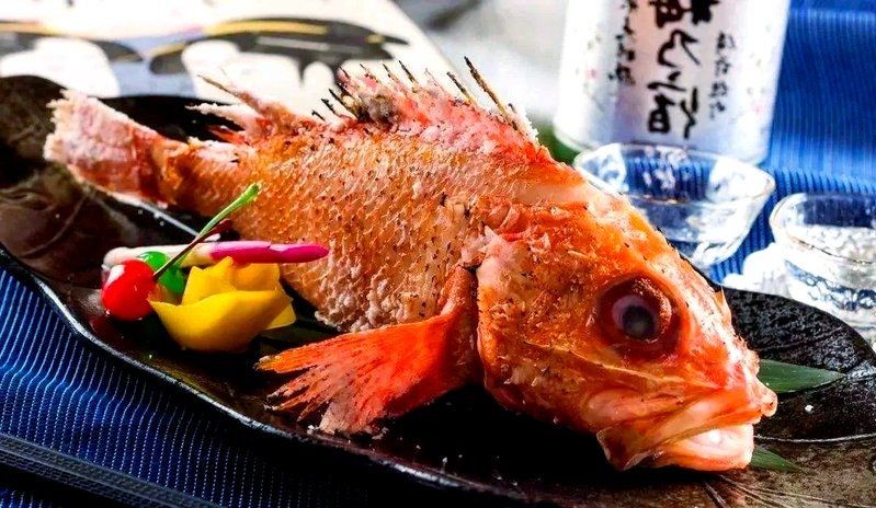 日本的十大名魚:日本十大名魚 龍魚百科 第11張 日本的十大名魚:日本十大名魚 日本的十大名魚:日本十大名魚 龍魚百科 第11張