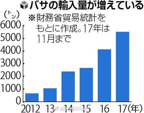 日本的十大名魚:日本十大名魚 龍魚百科 第19張 日本的十大名魚:日本十大名魚 日本的十大名魚:日本十大名魚 龍魚百科 第19張