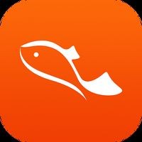 日本的十大名魚:日本十大名魚 龍魚百科 第22張 日本的十大名魚:日本十大名魚 日本的十大名魚:日本十大名魚 龍魚百科 第22張