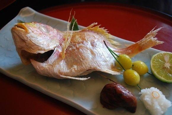 日本的十大名魚:日本十大名魚 龍魚百科 第21張 日本的十大名魚:日本十大名魚 日本的十大名魚:日本十大名魚 龍魚百科 第21張