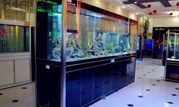 回收魚缸上門電話：專業(yè)回收魚缸上門服務(wù)應(yīng)運(yùn)而生愛企查需要上門回收舊魚缸服務(wù)