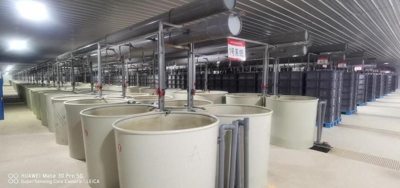 湖南最大淡水蝦養殖在哪：湖南省內最大淡水蝦養殖基地鶴龍湖蟹蝦養殖基地