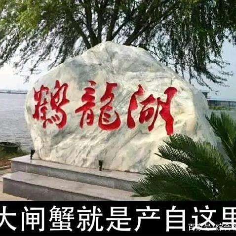 湖南最大淡水蝦養殖在哪：湖南省內最大淡水蝦養殖基地鶴龍湖蟹蝦養殖基地
