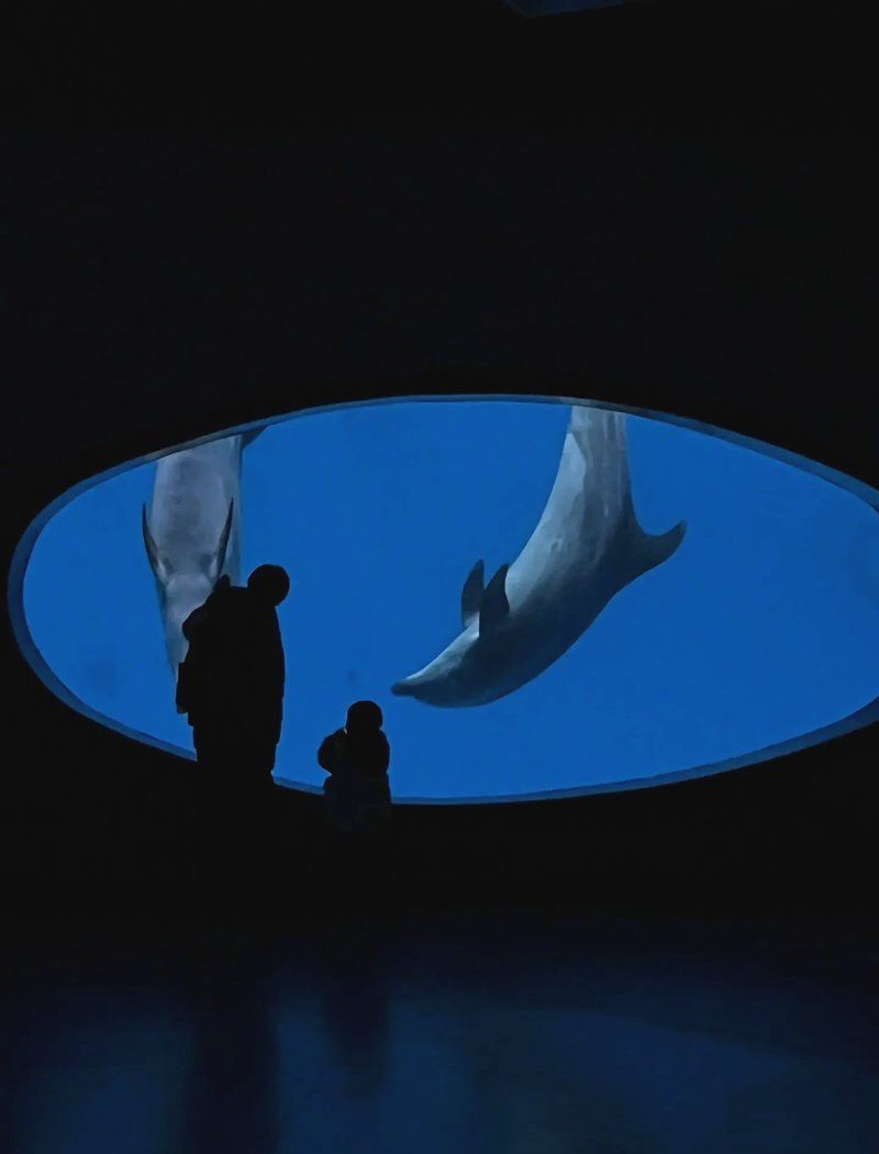 南充水族館：南充水族館——南充水族館