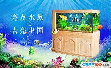 保定水族批發市場：保定市水族批發市場