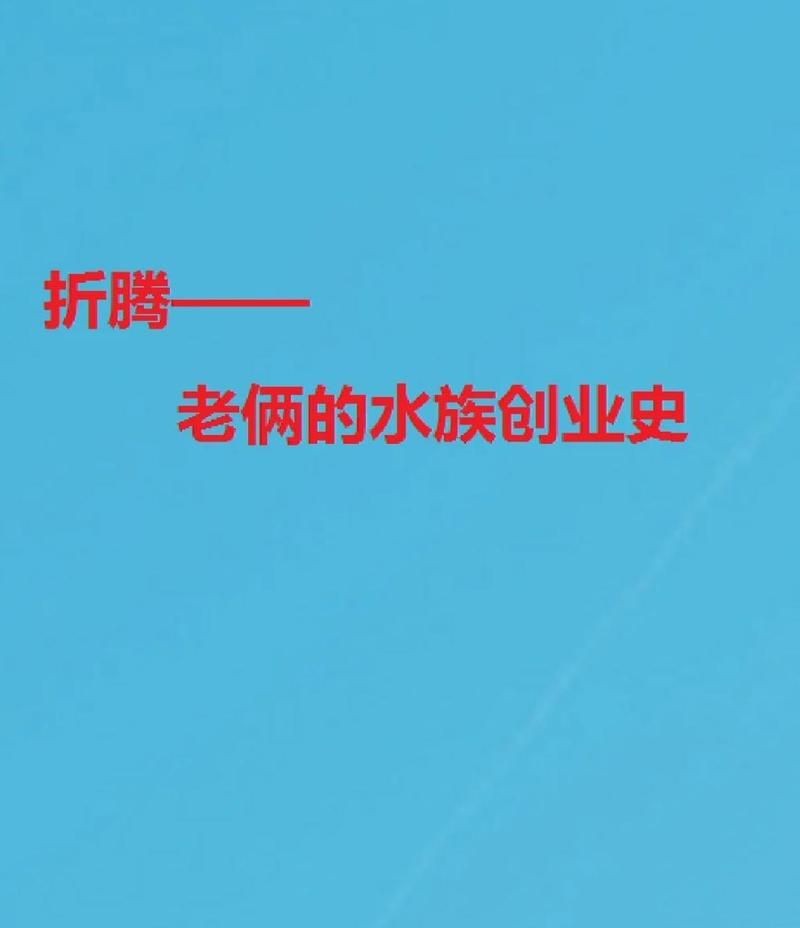 保定水族批發(fā)市場：保定市水族批發(fā)市場