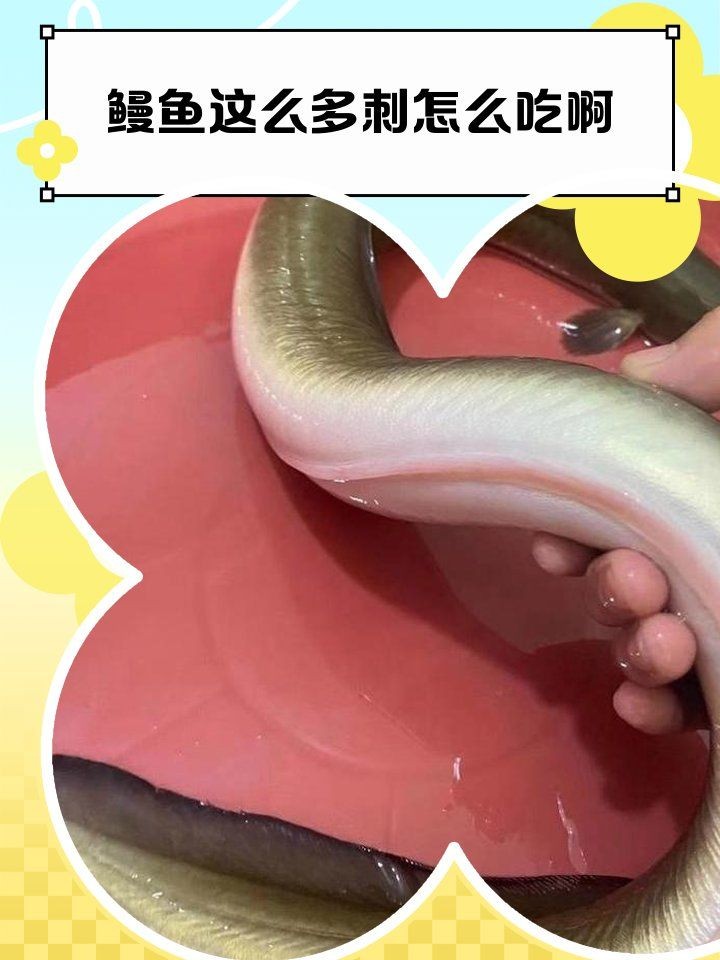 海鰻魚(yú)去刺圖解：*《海鰻魚(yú)去刺圖解》*詳細(xì)圖解