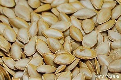 甲硝唑能殺魚寄生蟲嗎：甲硝唑對哪些魚類寄生蟲有效