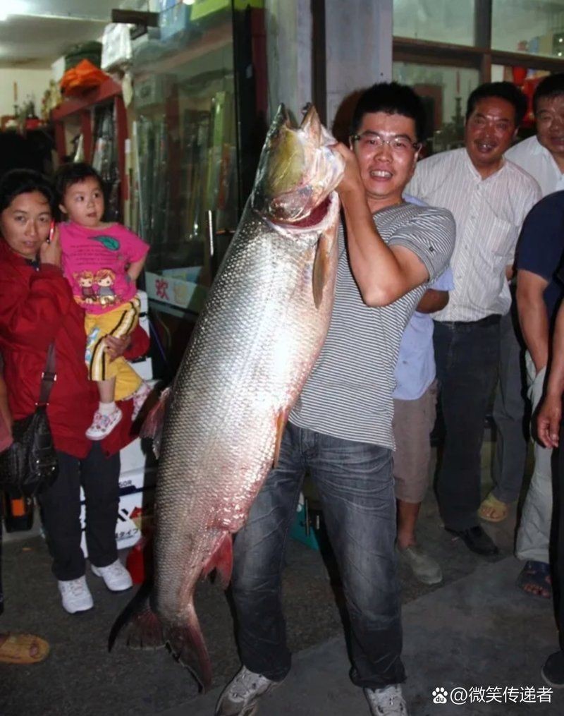 廣東有鳡魚嗎：廣東淡水生態系統[需手動填充]魚在廣東釣魚的重要棲息地區
