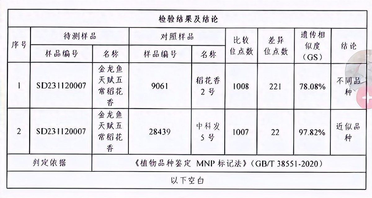 金禾金龍魚是雜牌子嗎:“金禾金龍魚是否為雜牌子”需明確區分品牌歸屬與市場認知 龍魚百科 第9張 金禾金龍魚是雜牌子嗎:“金禾金龍魚是否為雜牌子”需明確區分品牌歸屬與市場認知 金禾金龍魚是雜牌子嗎:“金禾金龍魚是否為雜牌子”需明確區分品牌歸屬與市場認知 龍魚百科 第9張