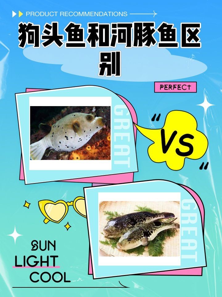 狗頭魚(yú)會(huì)咬人手指嗎：淺析魚(yú)類攻擊行為,光明網(wǎng),狗頭魚(yú)好養(yǎng)嗎