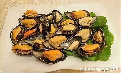 海夫人是什么海鮮:“海夫人”名稱的由來 龍魚論壇 第8張 海夫人是什么海鮮:“海夫人”名稱的由來 海夫人是什么海鮮:“海夫人”名稱的由來 龍魚論壇 第8張