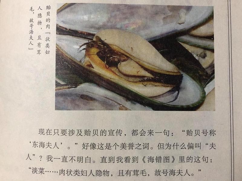 海夫人是什么海鮮:“海夫人”名稱的由來 龍魚論壇 第6張 海夫人是什么海鮮:“海夫人”名稱的由來 海夫人是什么海鮮:“海夫人”名稱的由來 龍魚論壇 第6張