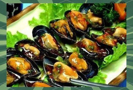 海夫人是什么海鮮:“海夫人”名稱的由來 龍魚論壇 第4張 海夫人是什么海鮮:“海夫人”名稱的由來 海夫人是什么海鮮:“海夫人”名稱的由來 龍魚論壇 第4張